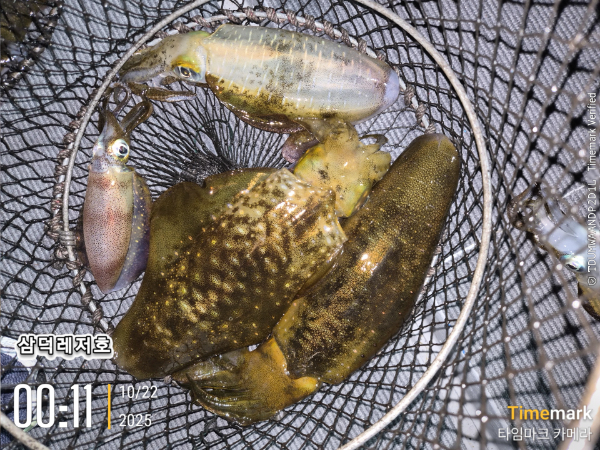 2025-10-22 00.11.53_.jpg