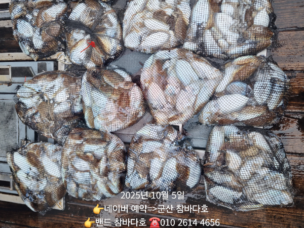 1000029944.jpg