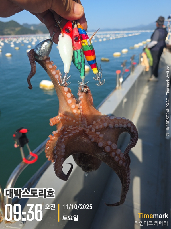 2025-10-11 09.36.42__(대박스토리호).jpg