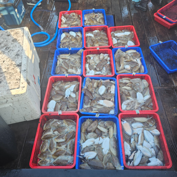 마검포 대한호(VIP)_사진_20251022_2.jpg