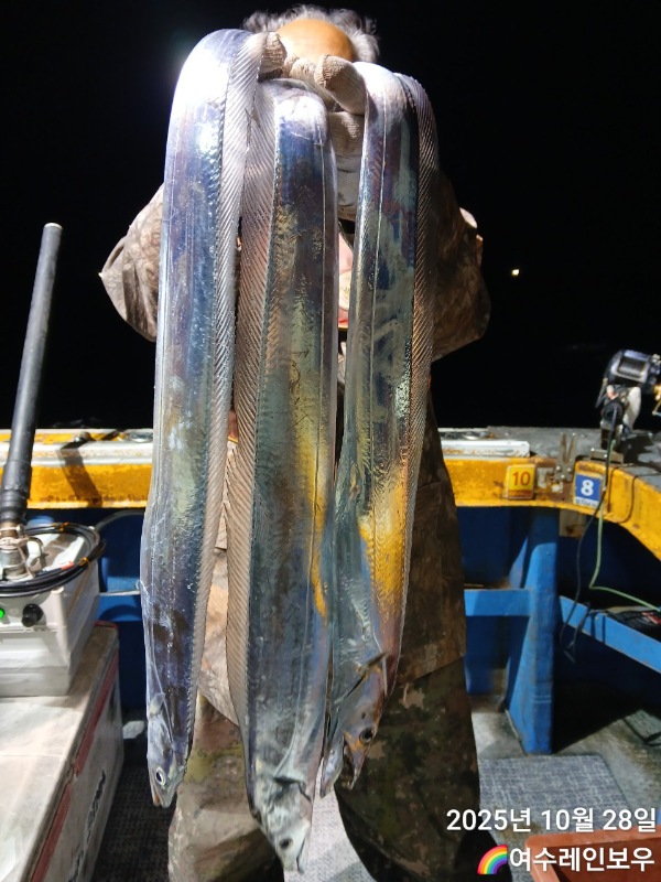 ♡여수레인보우♡갈치_열기_한치_갑오징어__사진_20251029_7.jpg