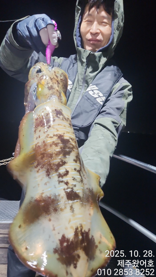제주왔어호_사진_20251030_1.jpg