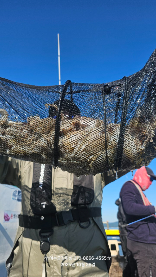 여수금강피싱_사진_20251028_6.jpg