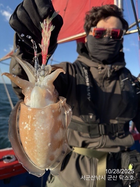 군산 선상낚시, 바다낚시 출조 전문 ☆서군산낚시☆_사진_20251028_19.jpg