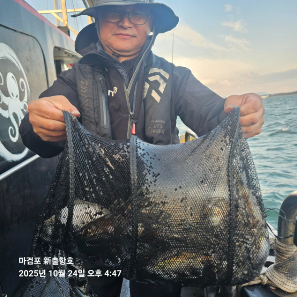 ꫛꫀꪝ✧‧˚ 태안 마검포 新출항호 .• _˚☀₊_사진_20251024_10.jpg