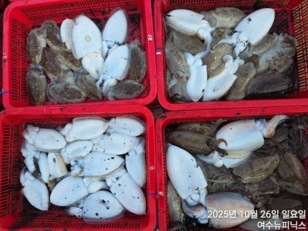 10월26일갑이 (21).jpg