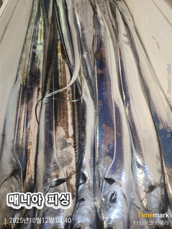 KakaoTalk_20251012_070711324_07.jpg