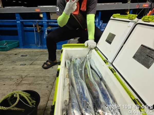 10월8일갈치 (3).jpg