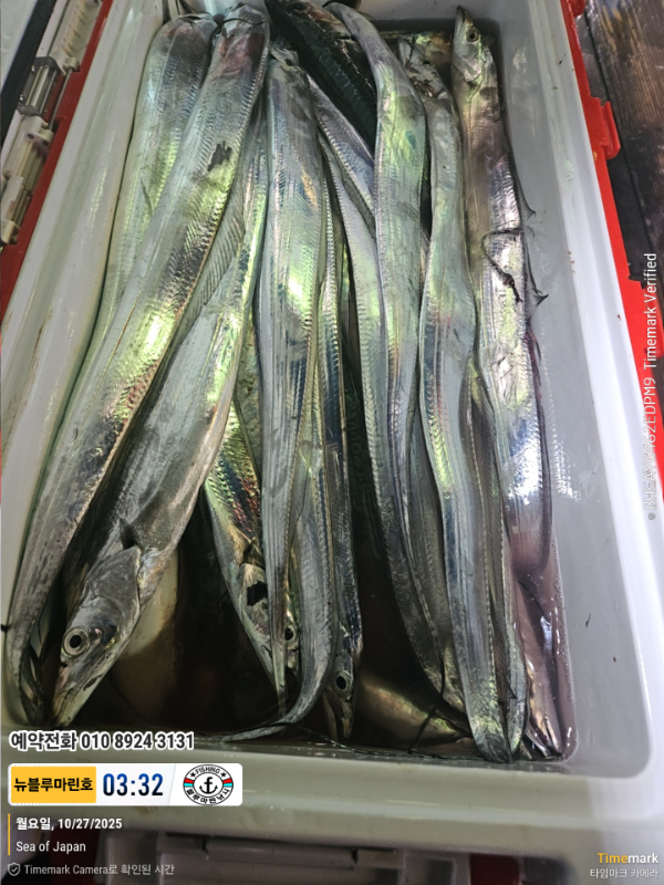 2025-10-27 03.32.10_Japan_(제목-뉴블루마린호)_(예약전화 010 8924 3131).jpg