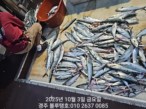 20251003_175341.jpg