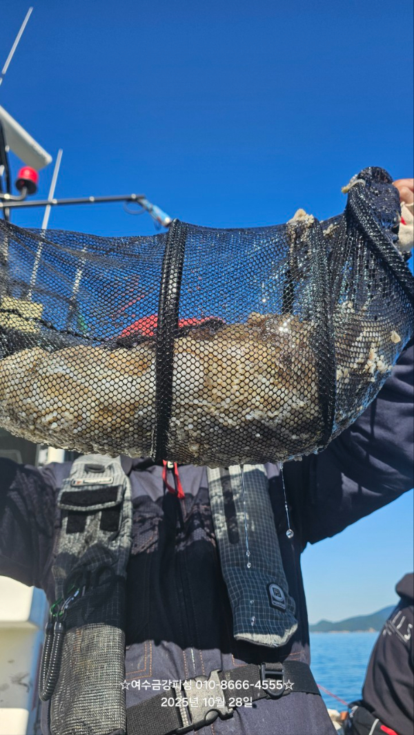 여수금강피싱_사진_20251028_5.jpg