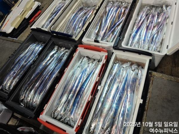 10월5일갈치 (55).jpg