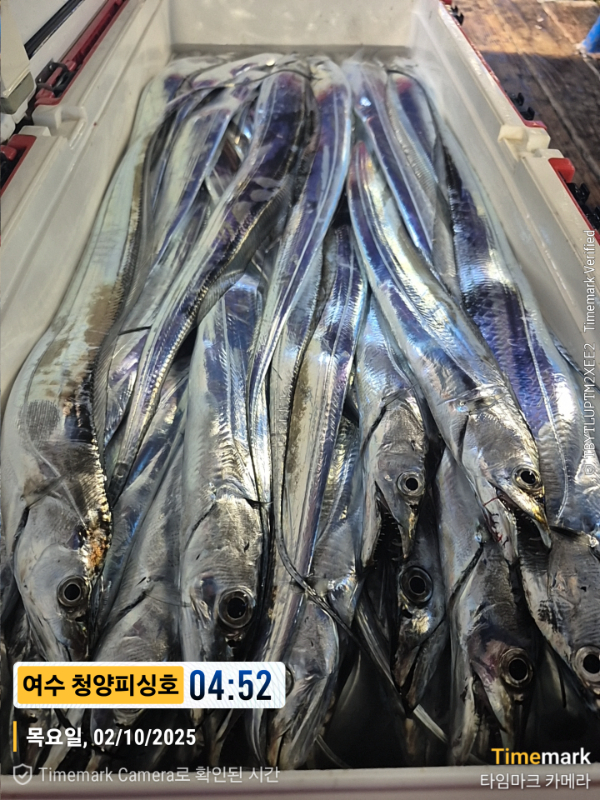 2025-10-02 04.52.27__(제목-여수 청양피싱호).jpg