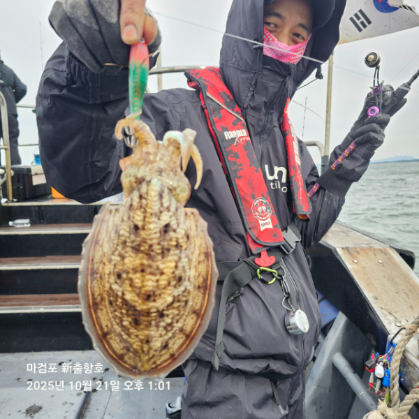 ꫛꫀꪝ✧‧˚ 태안 마검포 新출항호 .• _˚☀₊_사진_20251021_10.jpg