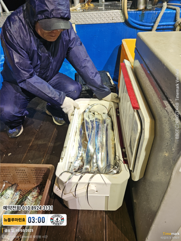 2025-10-03 03.00.10__(제목-뉴블루마린호)_(예약전화 010 8924 3131).jpg