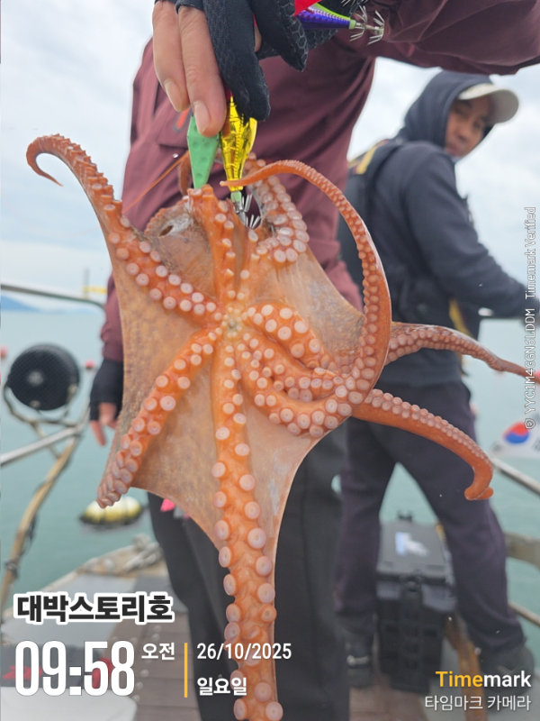 2025-10-26 09.58.34__(대박스토리호).jpg