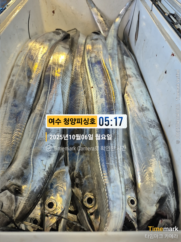 2025-10-06 05.17.05__(제목-여수 청양피싱호).jpg