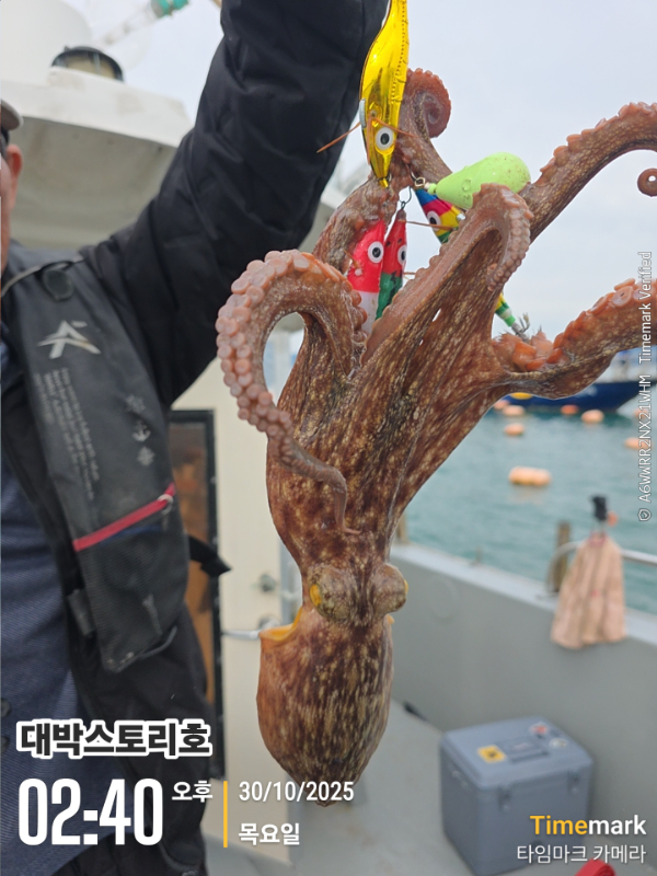 2025-10-30 02.40.19__(대박스토리호).jpg