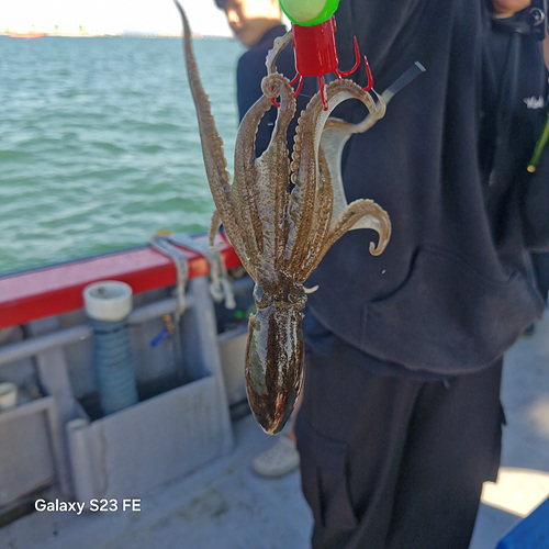 인천쭈꾸미낚시 (2).jpg