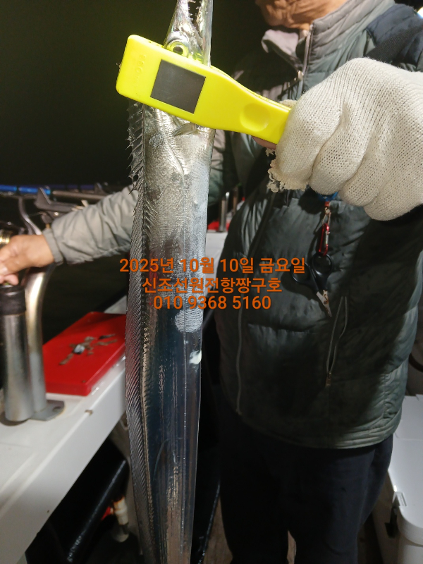 KakaoTalk_20251011_042744135.jpg
