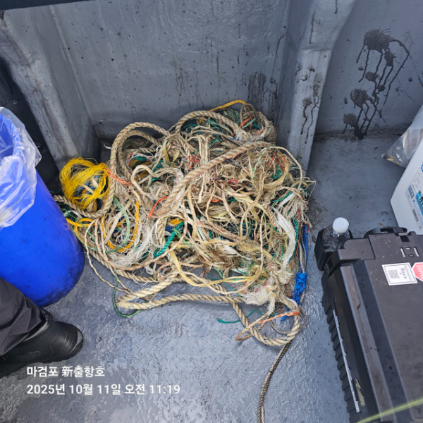 ꫛꫀꪝ✧‧˚ 태안 마검포 新출항호 .• _˚☀₊_사진_20251011_11.jpg