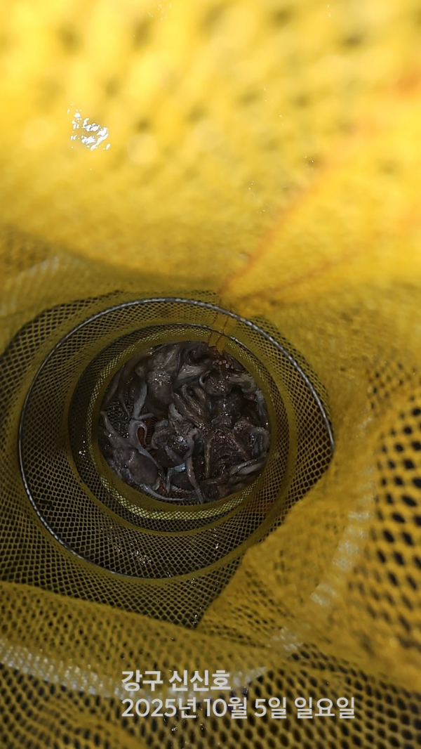 신신낚시 강구점 신신호_사진_20251005_7.jpg