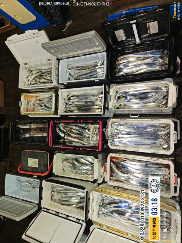 2025-10-18 03.18.11_대한민국_(제목-뉴블루마린호)_(예약전화 010 8924 3131).jpg