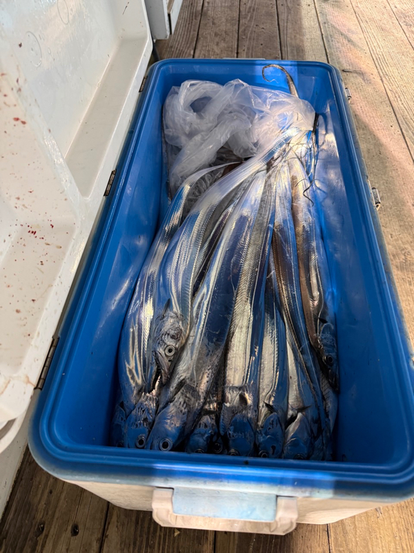 제주 쏘니호_사진_20251007_11.jpg