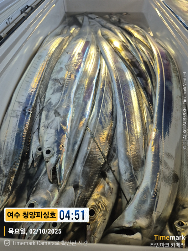 2025-10-02 04.51.32__(제목-여수 청양피싱호).jpg