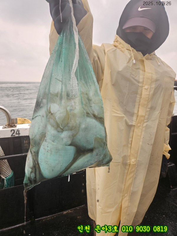 10월26 3호 (15).jpg