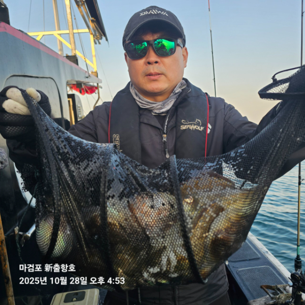 ꫛꫀꪝ✧‧˚ 태안 마검포 新출항호 .• _˚☀₊_사진_20251028_3.jpg