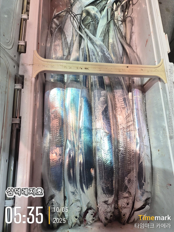 2025-10-05 05.35.45_.jpg