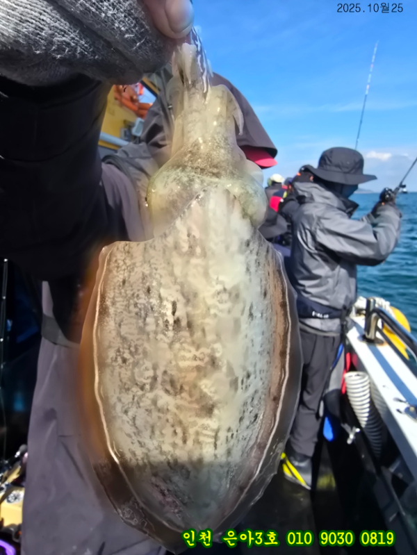 10월25 3호 (26).jpg