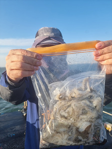 인천쭈꾸미낚시 (8).jpg