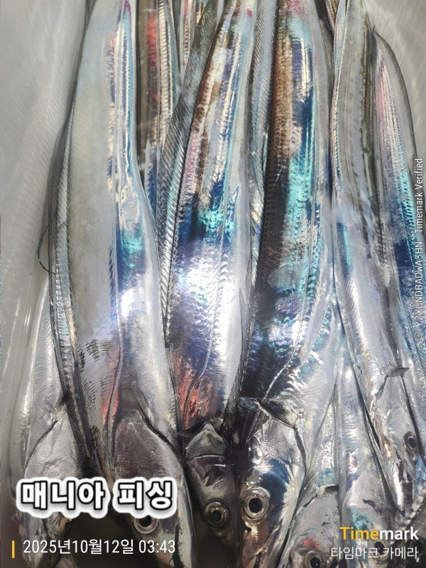 KakaoTalk_20251012_070711324_03.jpg