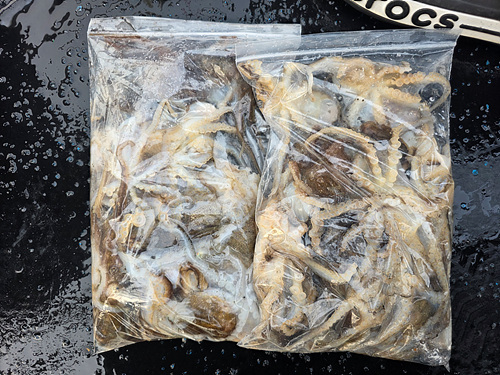 인천쭈꾸미낚시 (6).jpg