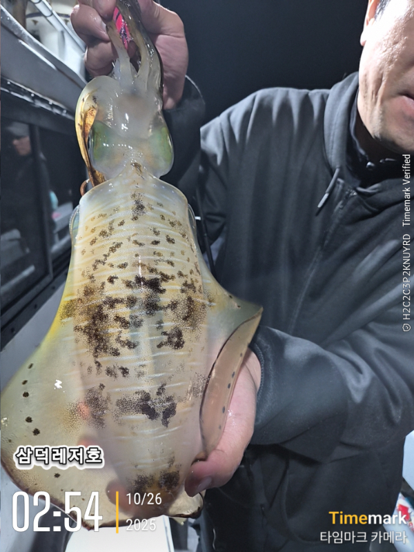 2025-10-26 02.54.28_.jpg