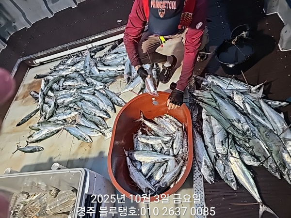 20251003_175350.jpg
