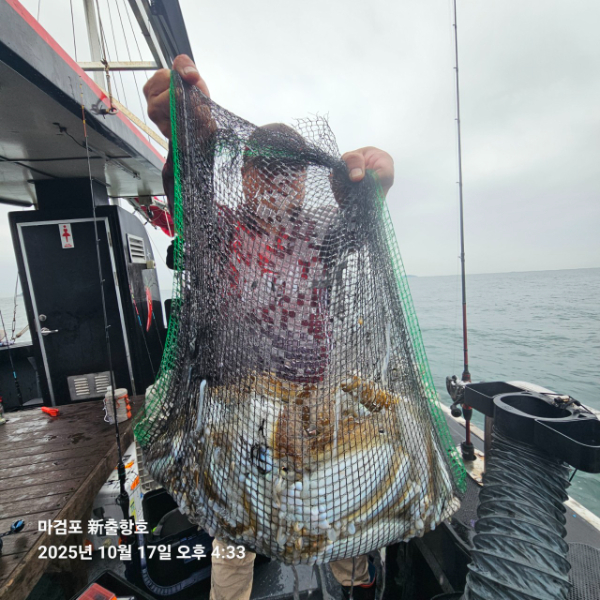 ꫛꫀꪝ✧‧˚ 태안 마검포 新출항호 .• _˚☀₊_사진_20251017_11.jpg