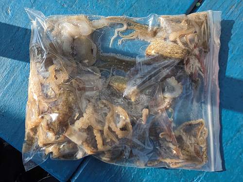 인천쭈꾸미낚시 (5).jpg