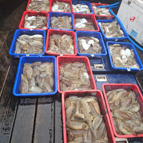 마검포 대한호(VIP)_사진_20251030_2.jpg