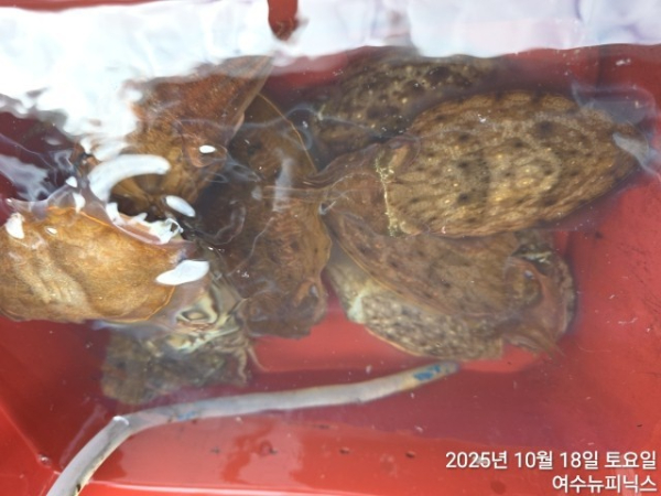 10월18일갑이 (2).jpg