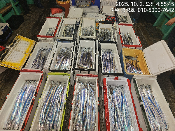 KakaoTalk_20251002_144303273_09.jpg