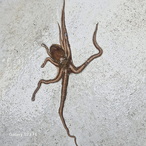 인천쭈꾸미낚시 (8).jpg