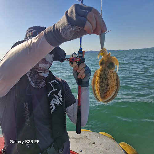 인천쭈꾸미낚시 (13).jpg