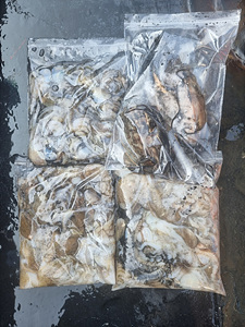 인천쭈꾸미낚시 (5).jpg