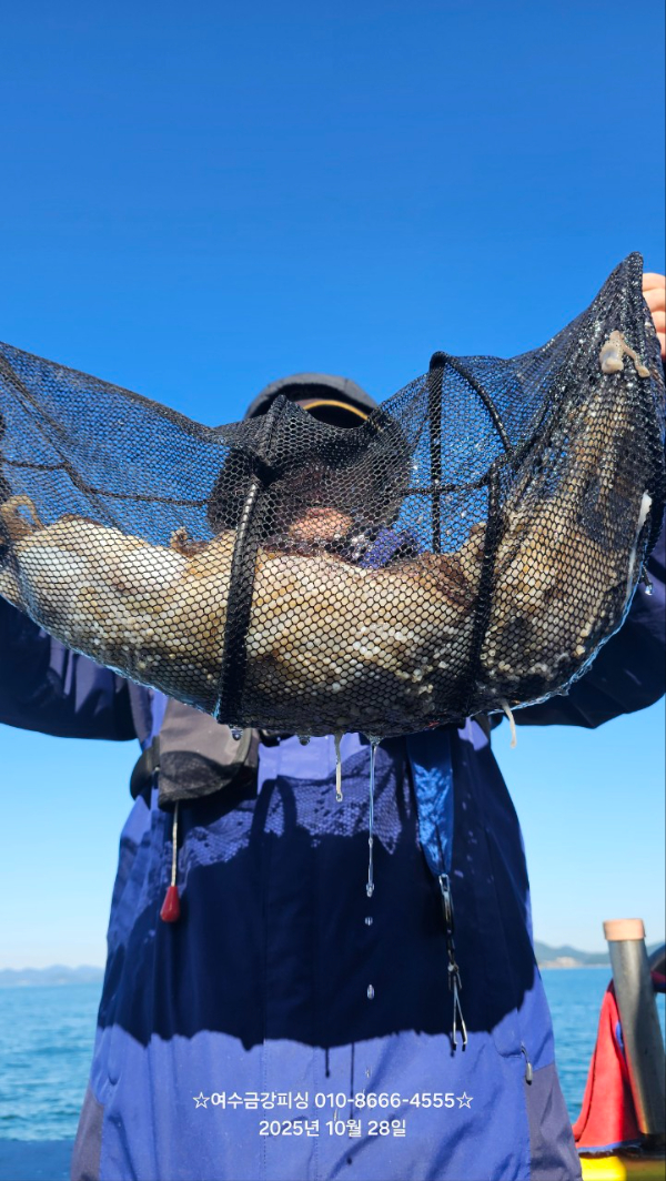 여수금강피싱_사진_20251028_20.jpg