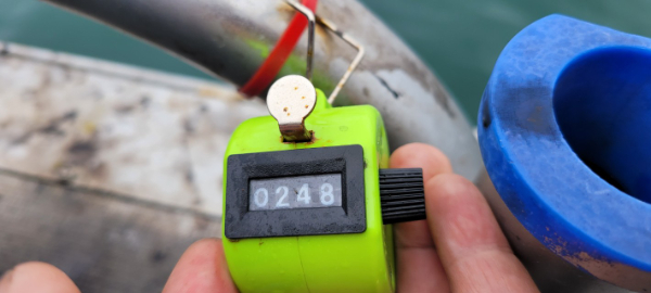 예지퀸호 농어외수질&어초낚시 경기인천권_사진_20251004_2.jpg