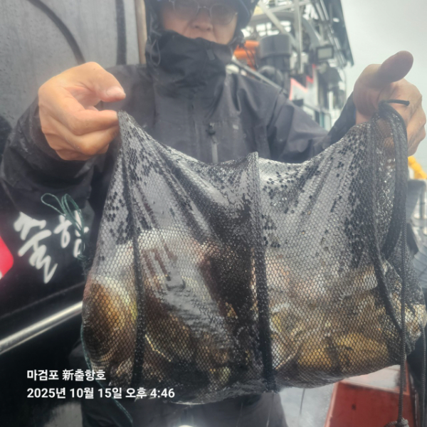 ꫛꫀꪝ✧‧˚ 태안 마검포 新출항호 .• _˚☀₊_사진_20251015_6.jpg