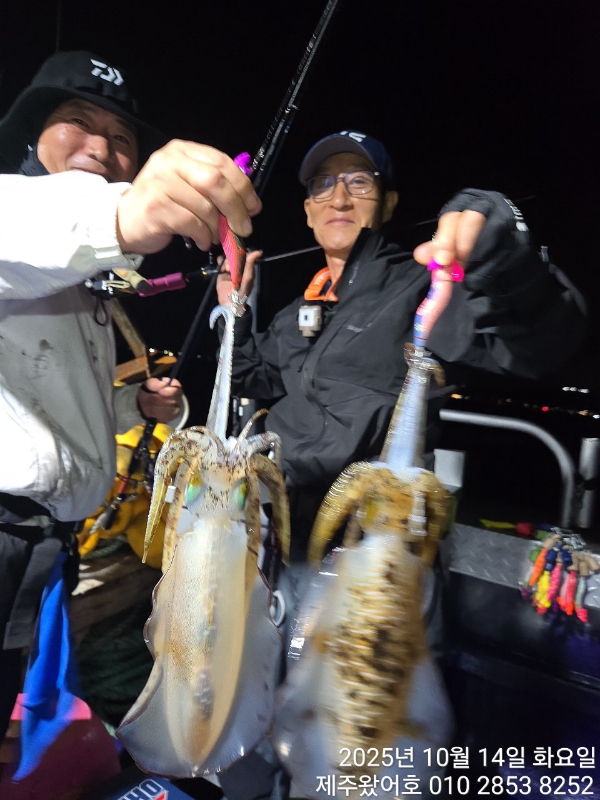 제주왔어호_사진_20251015_3.jpg
